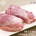 西班牙杜洛克白豚無激素豬展